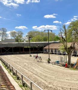 Pension pour chevaux proche Paris