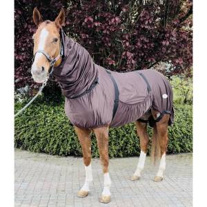 Couverture anti-eczéma Dermite estivale de chez JMR.Taille cheval