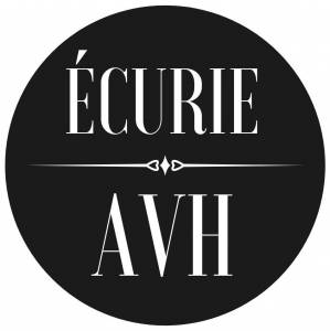 Écurie de propriétaires AVH (78)