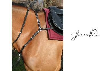 Collier de chasse en cuir, JMR Pro