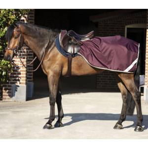 Horseware Couvre-reins Amigo Competition Sheet 