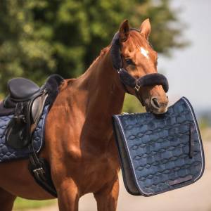 Mattes Tapis de selle dressage velours Strass Collection