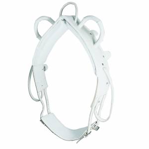 Surfaix de Voltige - Waldhausen