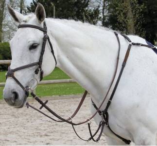 Collier de chasse Fancy Richtan Treadstone