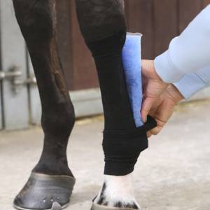 Bande pour chaussettes Tendon Grip - Kentucky