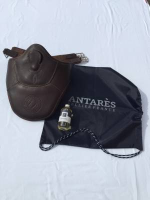 Sangle Bavette ANTARES taille 135 