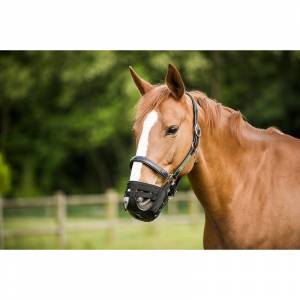 Panier Muselière pour chevaux Norton