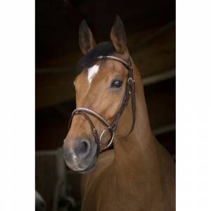 Bridon Clincher Rose Gold - Norton