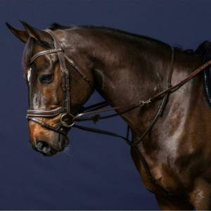 Enrênement Howlett Working Collection - Dy'on