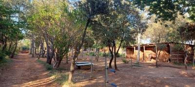 L'&eacute;curie des Ch&ecirc;nes Argelliers 34380