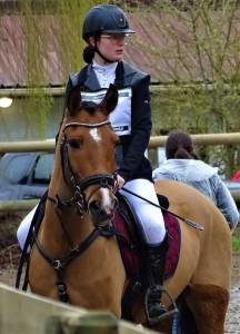 PONEY D'EXP&Eacute;RIENCE A PRENDRE EN DP