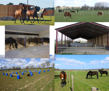 Pension sur Br&eacute;hand (22)