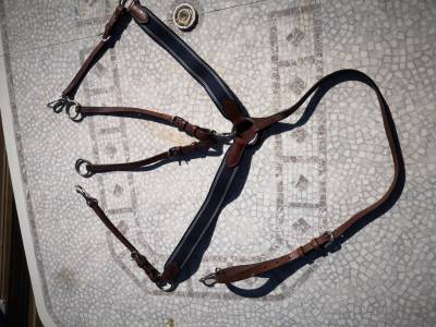 Collier de chasse 