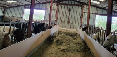 PENSION CHEVAUX PONEYS 