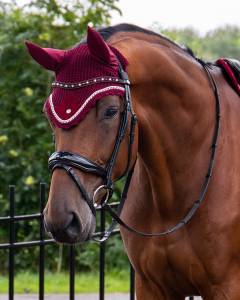 Bridon cheval 