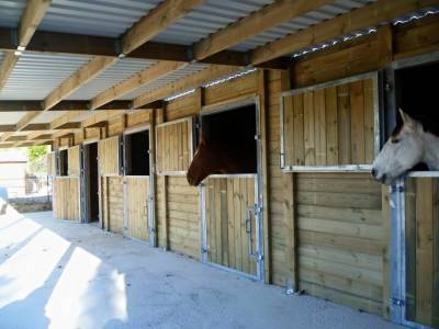 Pension de propri&eacute;taire paddock/box