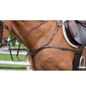 Collier de chasse cinq points et martingale - Jump'In