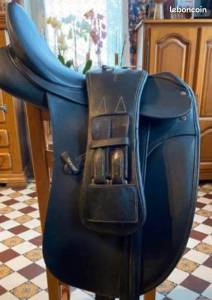 Sangle courte dressage