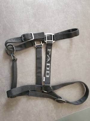Licol cheval