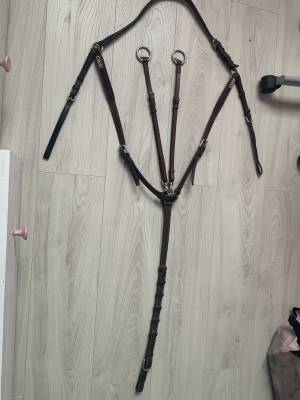 Collier de chasse CWD