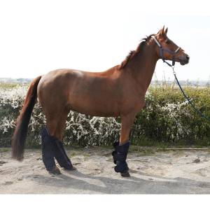 Set de 4 protections de transport - JMR