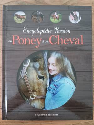 Passion du poney et du cheval