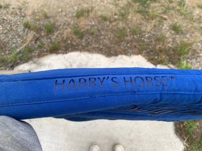 tapis bleu roi Harry’s Horse