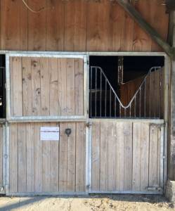 Box chevaux