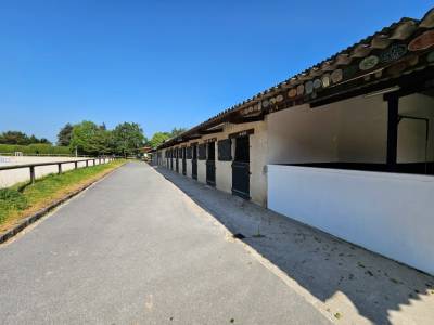 ÉCURIE MULTI ACTIVITÉ