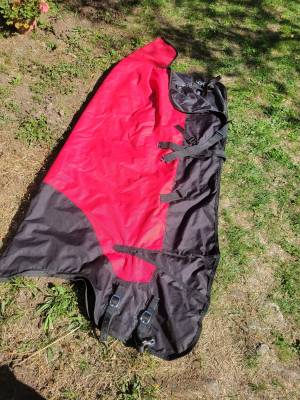 THERMO MASTER 100grd T.145