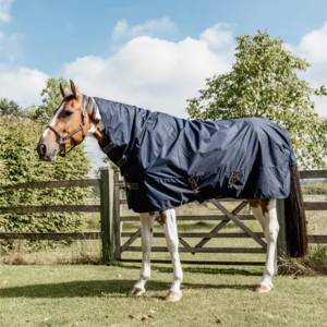 Couverture imperméable All Weather Quick Dry Fleece 0gr avec encolure - Kentucky