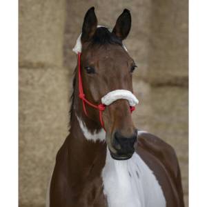 Licol éthologique avec une doublure en faux mouton - Norton