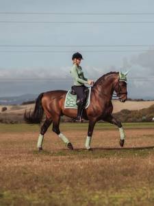 Tapis de selle Equestrian Stockholm - PISTACHIO WHITE
