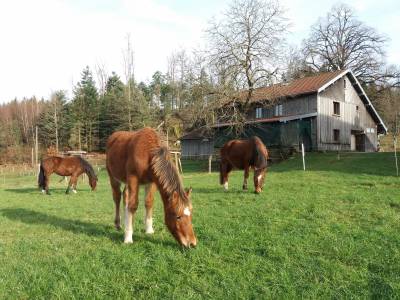 G&icirc;te &agrave; la Ferme Aux Moineaux