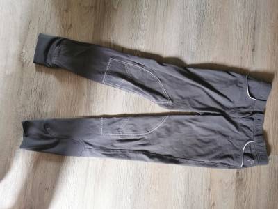 Pantalon equitheme gris 