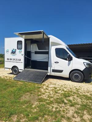 Transporteur de chevaux professionnel