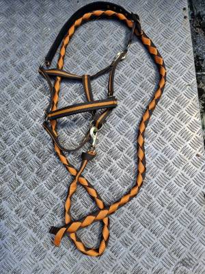 Ensemble licol + longe 