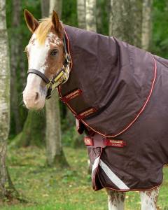 Couvre-cou Amigo Hood - Horseware - 1200d imperméable