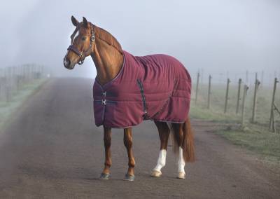 Couverture d'écurie Rambo 100g - Horseware - 1000d ripstop