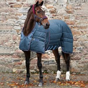 Couverture d'écurie Rambo Optimo 200g - Horseware - polyester indéchirable