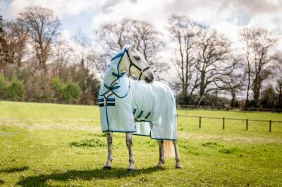 Couverture anti-insectes Amigo Bug Buster - Horseware
