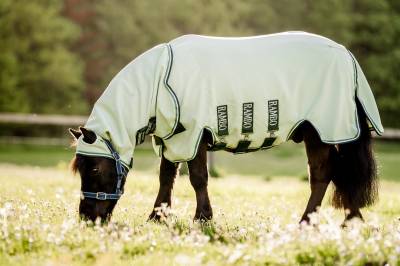 Chemise Rambo Petite taille hoody - Horseware - tissu respirant
