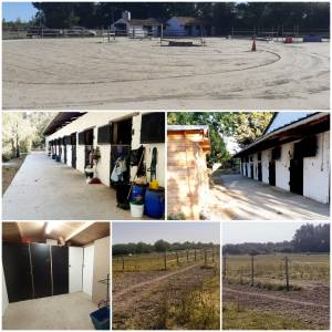 Pension  &agrave; 410&euro;