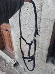 Licol en cuir