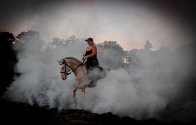 Etalon ibérique Perlino