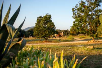 Pension retraite et &eacute;levage dans le sud de la France