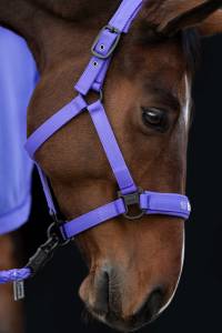 Licol Double Pin Dynamic 2024 - Eskadron