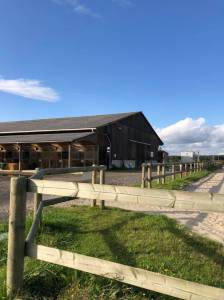 Haras Bor&eacute;al - &Eacute;curies Laura Saine