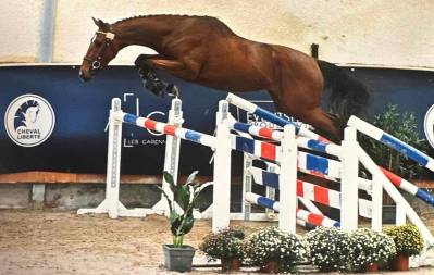 Saillie &eacute;talon de sport LINDOS ESSEF