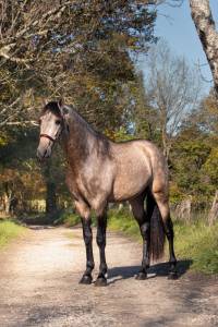 Nacar de lucia &eacute;talon PRE isabelle